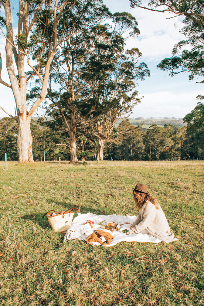 Woman Having a Picnic in a Field