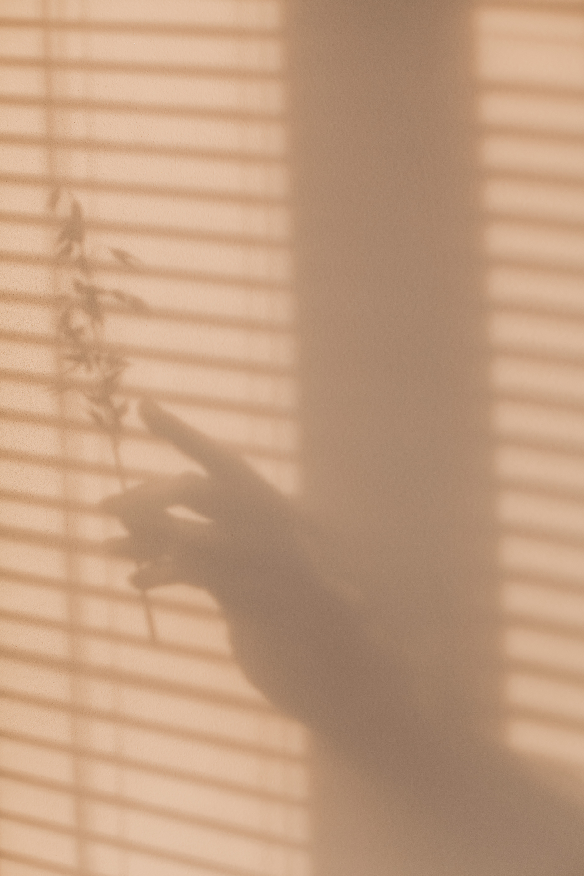 Shadow of Hand Holding Leaves on Beige Wall